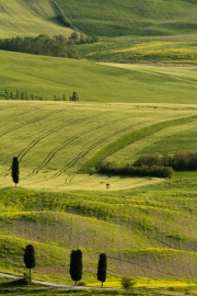valdorcia-49