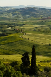 valdorcia-52
