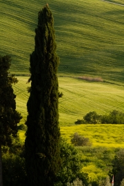 valdorcia-53