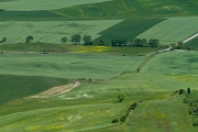 valdorcia-9