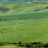 valdorcia-14
