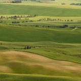 valdorcia-26