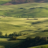 valdorcia-28