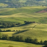 valdorcia-30
