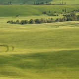 valdorcia-31