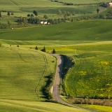 valdorcia-33