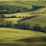 valdorcia-34
