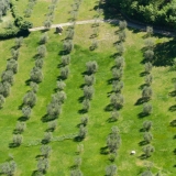 valdorcia-4