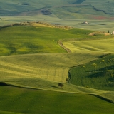 valdorcia-40