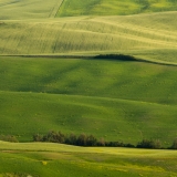 valdorcia-41