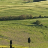 valdorcia-43