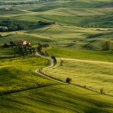 valdorcia-44
