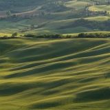 valdorcia-46